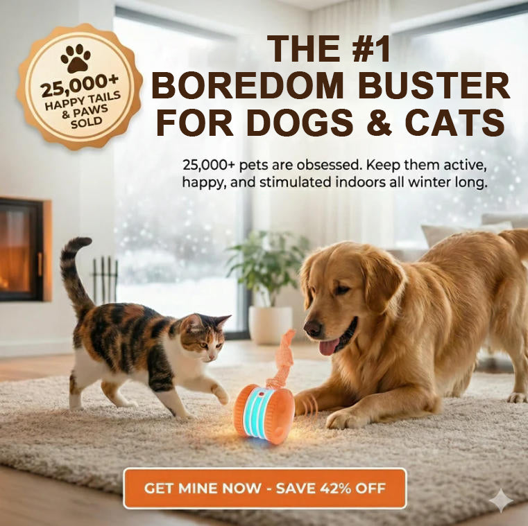🐶The YOBENSUN – Keep Your Pet Relaxed, Happy & Content 🐾