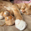 💥 Buy 1 Get 1 Free — Transparent Pet Storage Capsule Keychains 🐶 & 🐱