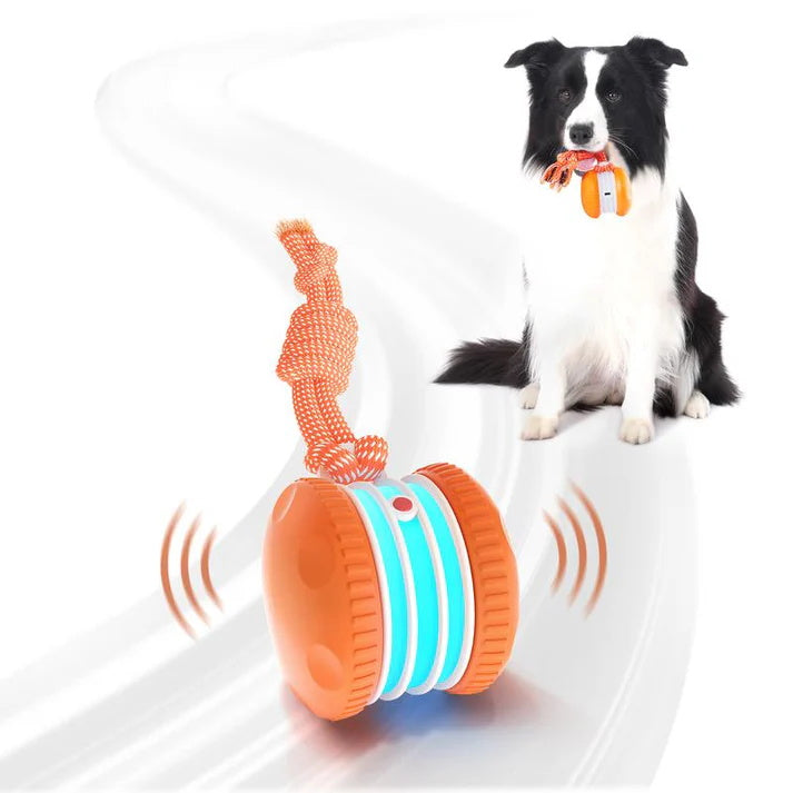 🐶The YOBENSUN – Keep Your Pet Relaxed, Happy & Content 🐾