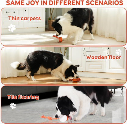 🐶The YOBENSUN – Keep Your Pet Relaxed, Happy & Content 🐾