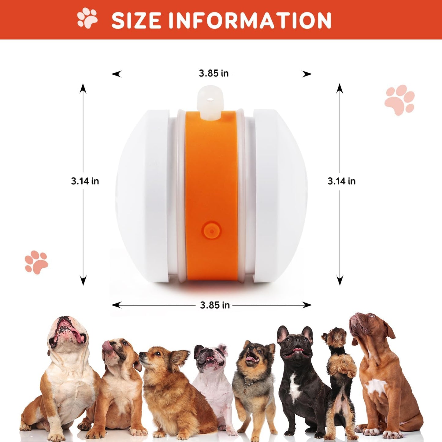 🐶The YOBENSUN – Keep Your Pet Relaxed, Happy & Content 🐾