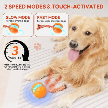 🐶The YOBENSUN – Keep Your Pet Relaxed, Happy & Content 🐾