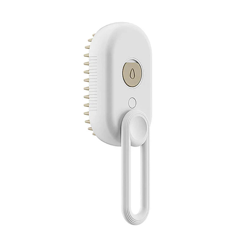 Roamrack 3-in-1 Steam Brush