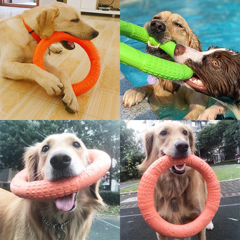 Dog Training Ring Puller Toy