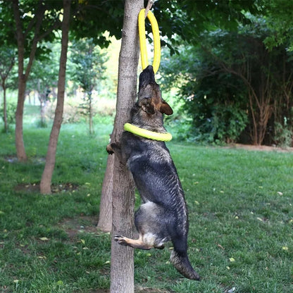 Dog Training Ring Puller Toy