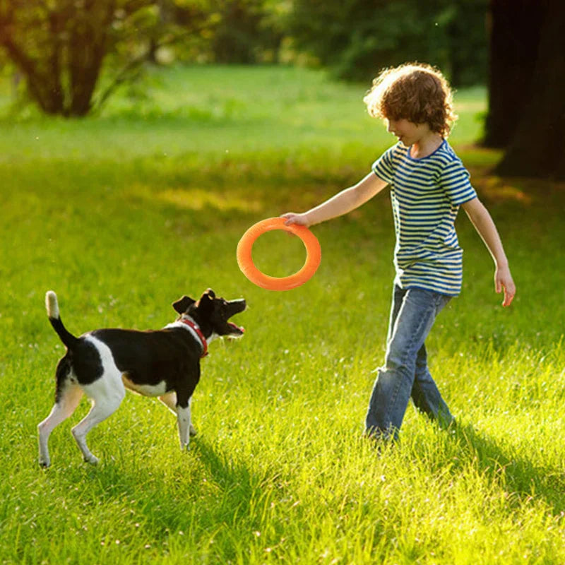 Dog Training Ring Puller Toy