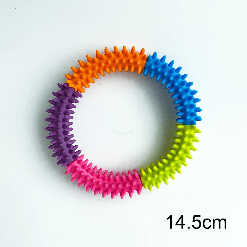 Dog Training Ring Puller Toy